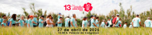 Cabecera 13 marcha aspace