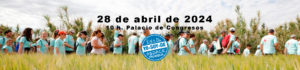 cabecera 12m web